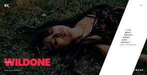 wildone.jpg wildone.jpg
