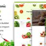 Green Organic - Organic Store & Bakery Theme