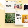 Caridad  - Charity WordPress
